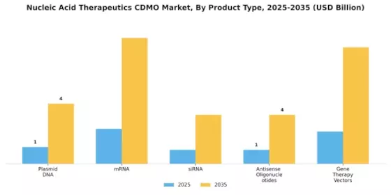 Nucleic Acid Therapeutics CDMO Market Segment Image 1