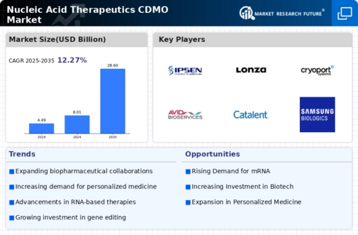 Nucleic Acid Therapeutics CDMO Market Infographic