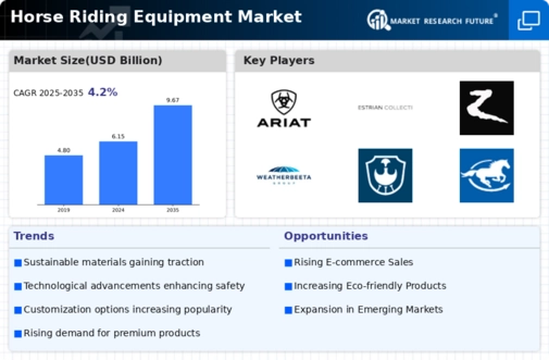 Horse Riding Equipment Market Infographic