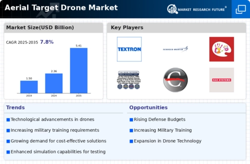 Aerial Target Drone Market Infographic