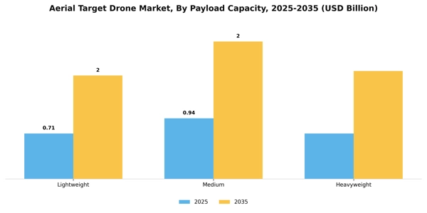 Aerial Target Drone Market Segment Image 2