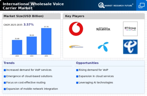 International Wholesale Voice Carrier Market Infographic