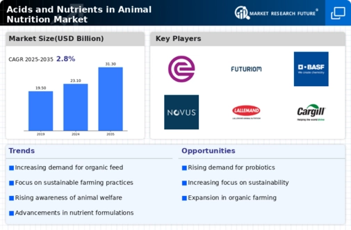 Acids and Nutrients in Animal Nutrition Market Infographic