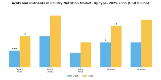 Acids and Nutrients in Poultry Nutrition Market Segment Image 0