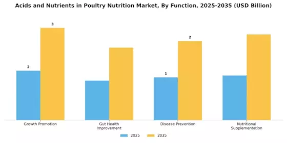 Acids and Nutrients in Poultry Nutrition Market Segment Image 1