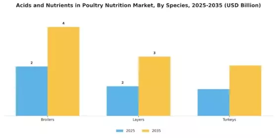Acids and Nutrients in Poultry Nutrition Market Segment Image 3
