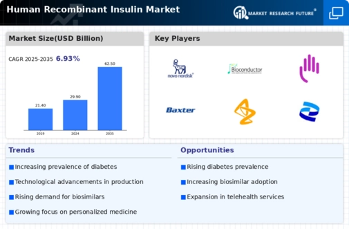 Human Recombinant Insulin Market Infographic