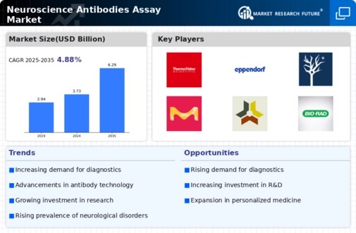 Neuroscience Antibodies Assay Market Infographic