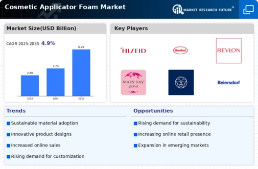 Cosmetic Applicator Foam Market
 Infographic