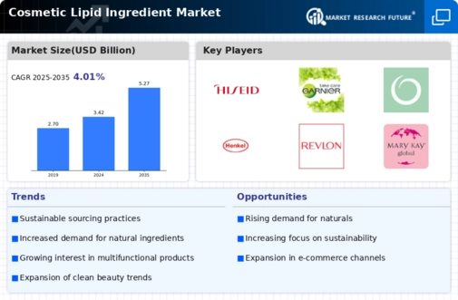 Cosmetic Lipid Ingredient Market
 Infographic