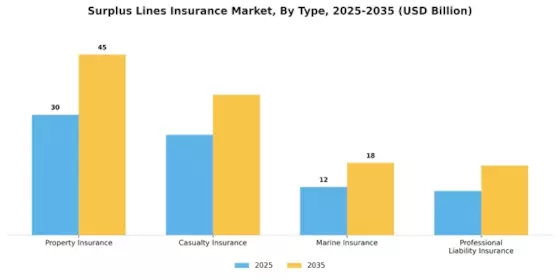 Surplus Lines Insurance Market Segment Image 0
