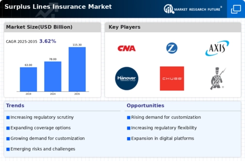 Surplus Lines Insurance Market Infographic