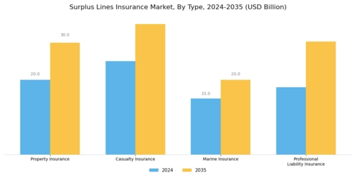 Surplus Lines Insurance Market Segment Image 0