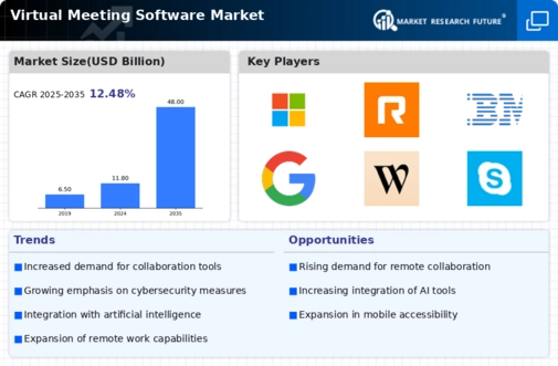 Virtual Meeting Software Market Infographic