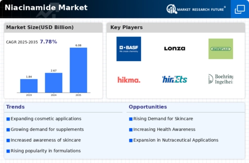 Niacinamide Market Market Infographic