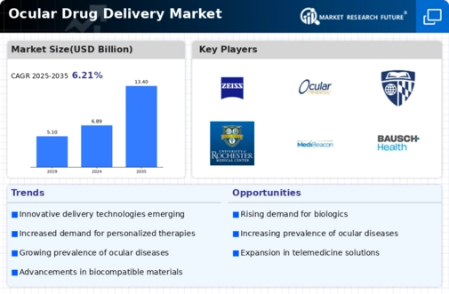 Ocular Drug Delivery Market Infographic
