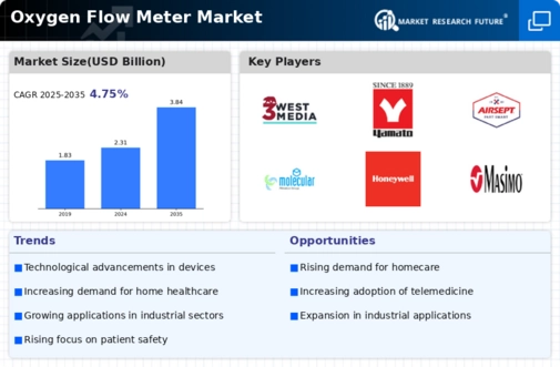 Oxygen Flow Meter Market Infographic