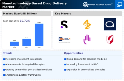 Nanotechnology Based Drug Delivery Market Infographic
