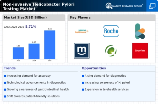 Non invasive Helicobacter Pylori Testing Market Infographic
