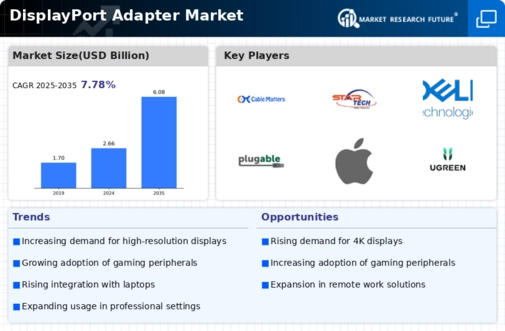 Displayport Adapter Market Infographic