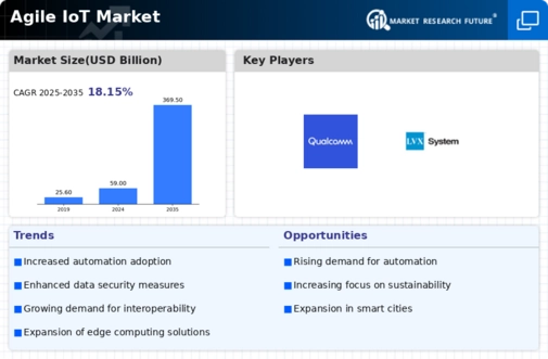 Agile IoT Market Infographic