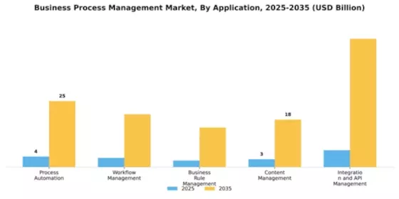 Business Process Management Market Segment Image 0