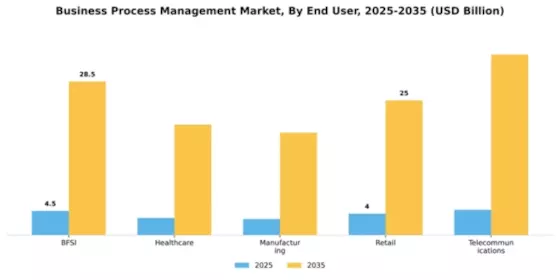Business Process Management Market Segment Image 2