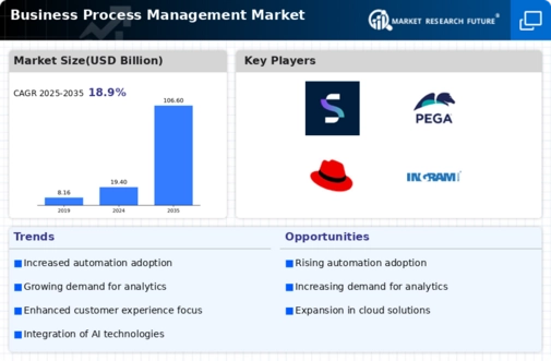 Business Process Management Market Infographic