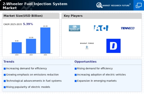 2 Wheeler Fuel Injection System Market Infographic