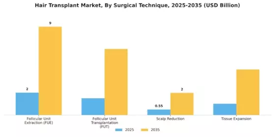 Hair Transplant Market Segment Image 0
