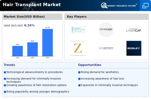 Hair Transplant Market Infographic