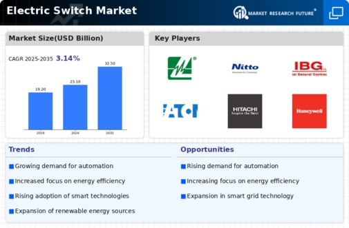 Electric Switch Market Infographic
