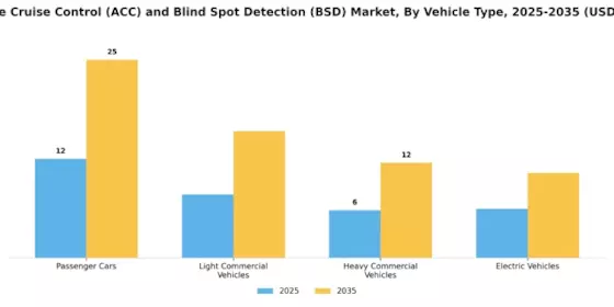 Adaptive Cruise Control Blind Spot Detection Market Segment Image 1