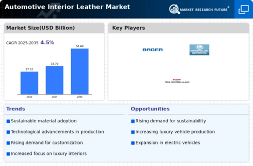 Automotive Interior Leather Market Infographic