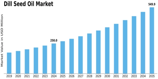 Dill Seed Oil Market Size
