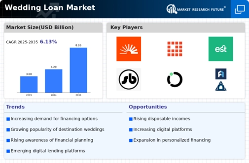 Wedding Loan Market Infographic