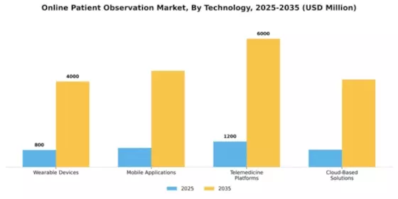 Online Patient Observation Market Segment Image 4