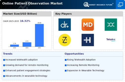 Online Patient Observation Market Infographic