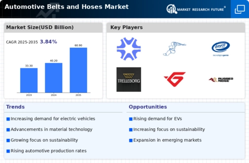 Automotive Belts Hose Market Infographic