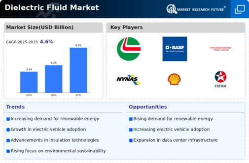 Dielectric Fluid Market Infographic