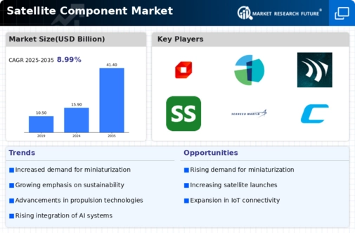 Satellite Component Market Infographic
