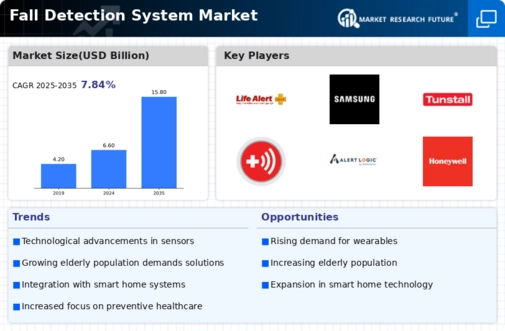 Fall Detection System Market Infographic
