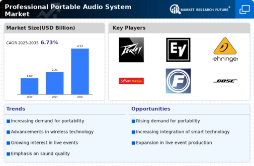 Professional Portable Audio System Market Infographic