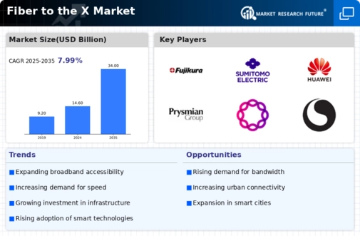 Fiber to the X Market Infographic