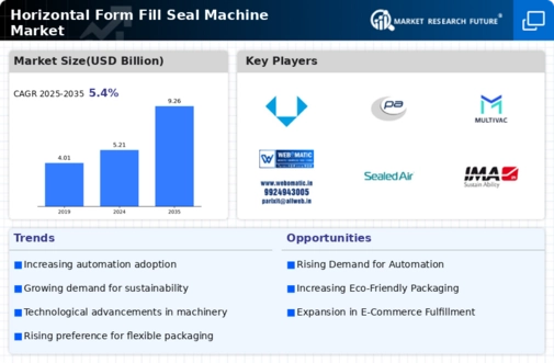 Horizontal Form Fill Seal Machine Market Infographic