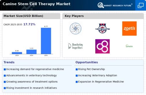 Canine Stem Cell Therapy Market Infographic