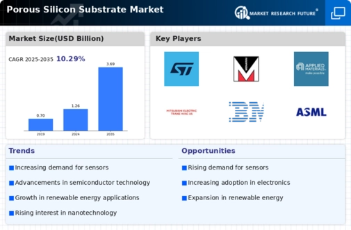 Porous Silicon Substrate Market Infographic
