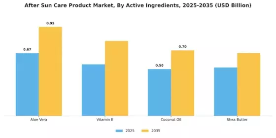 After Sun Care Product Market Segment Image 1