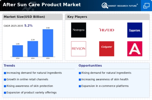 After Sun Care Product Market Infographic