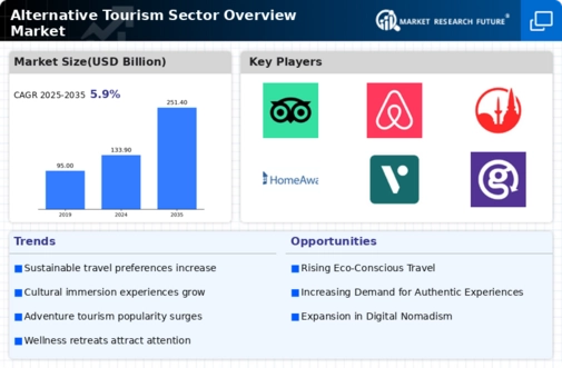 Alternative Tourism Sector Overview Market Infographic